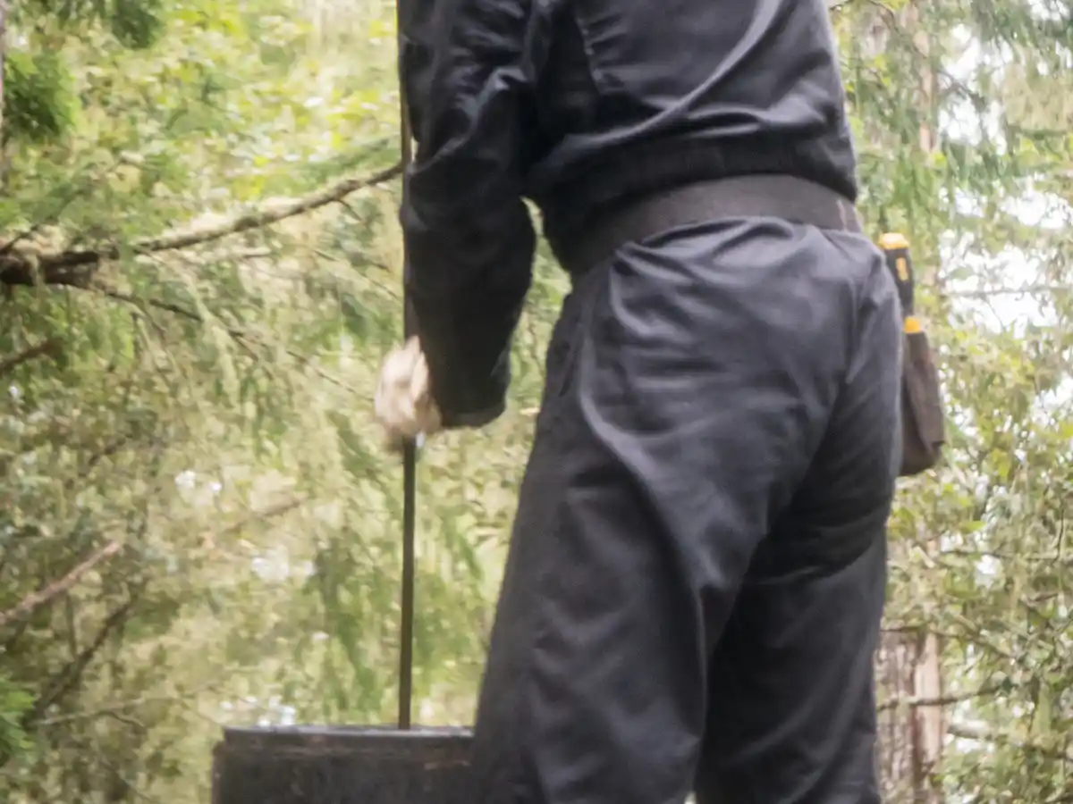 Sweep brushing a flue from the roof